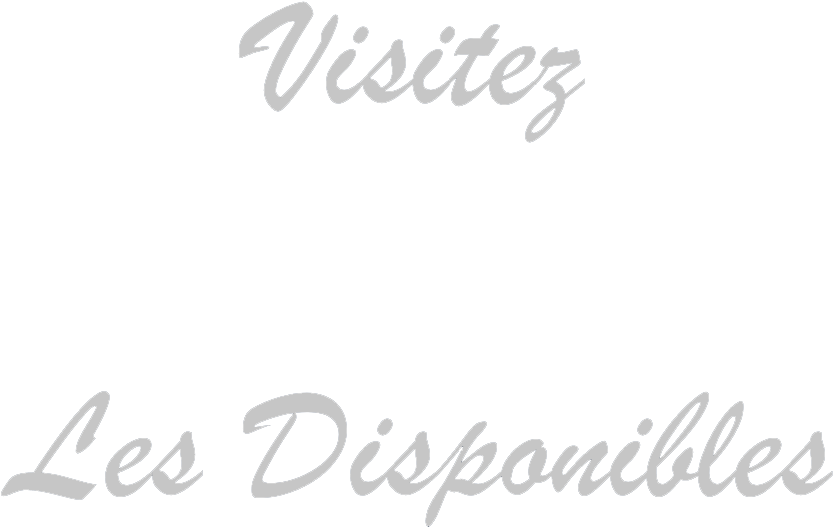 Visitez les disponibles