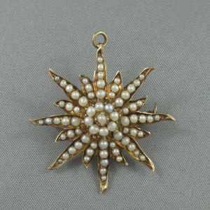 Broche/Pendentif, étoile en or 14K jaune avec perles, B6070-1