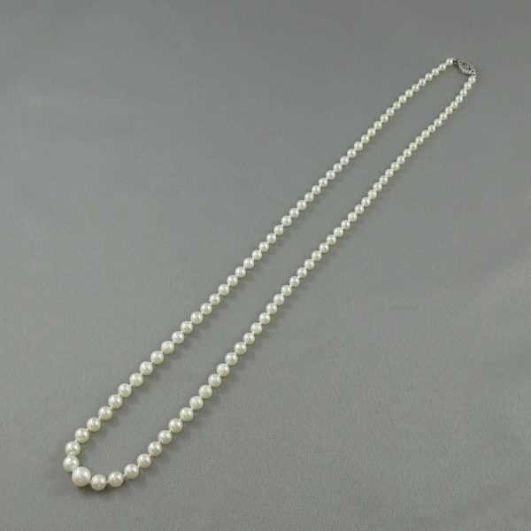 Collier Perles Akoya, 10K blanc, B6360-1
