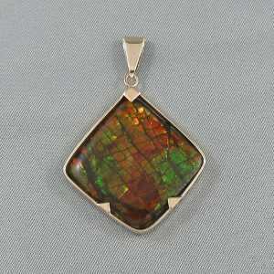 Pendentif Ammolite, 14 jaune, B6538-1