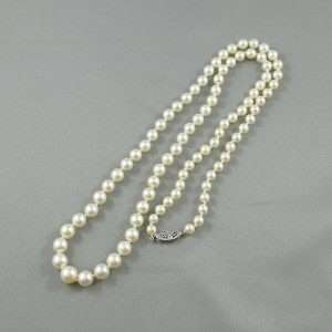 Collier Perles Akoya, 14K blanc, B6664-1